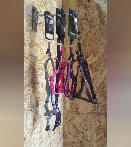 רתמה לכלב קטן