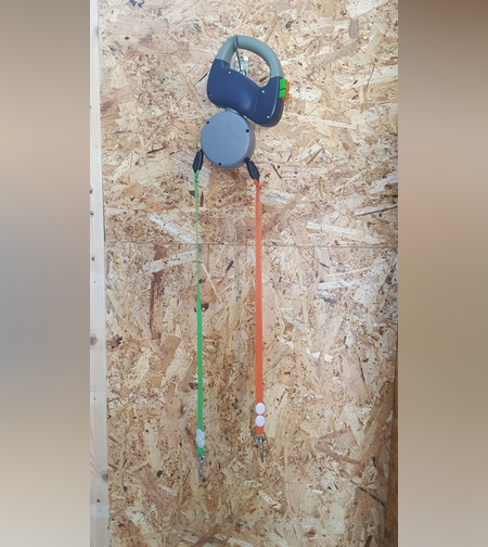 רצועה כפולה