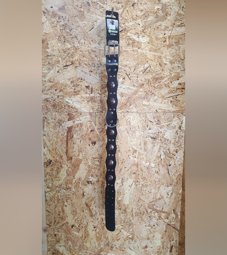 קולר עור ססגוני