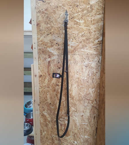 רצועת עור לאילוף כלבים