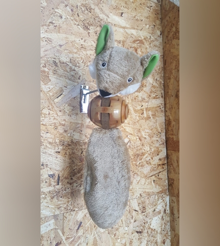 בא-לי שועלי