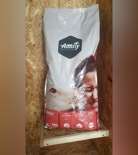 אמיתי בוגר Amity adult