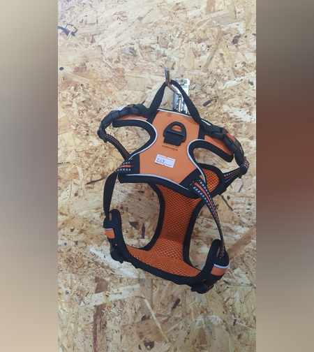 רתמה לכלב קטן