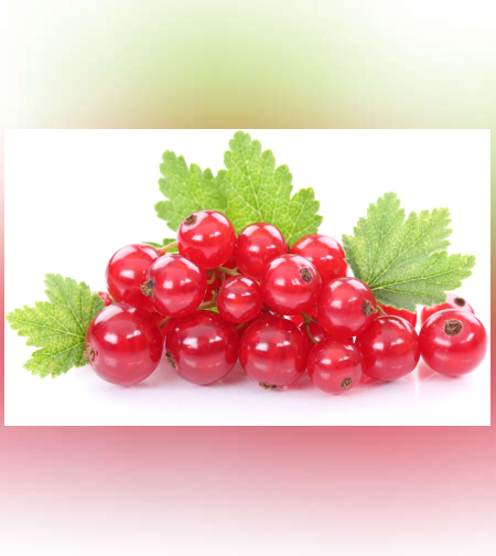 דומדמניות אדומות קפואות  1 ק