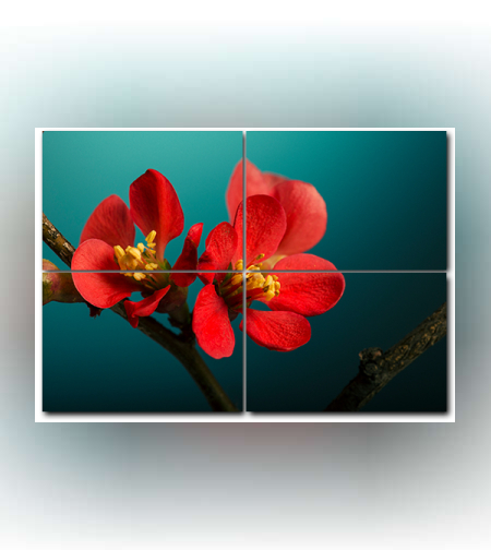 מולטי קנבס PC05 