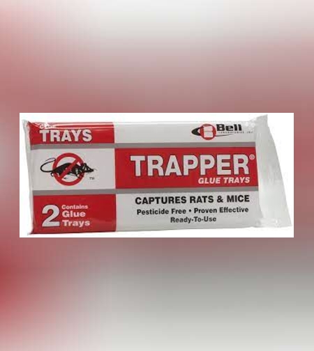 מלכודת דבק - ללכידת עכברים