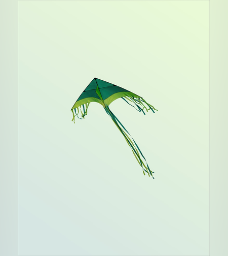 xcxccxv