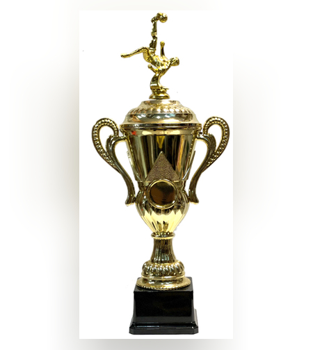 גביע כדורגל