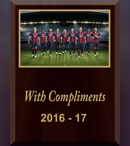 מגן הוקרה לקבוצה