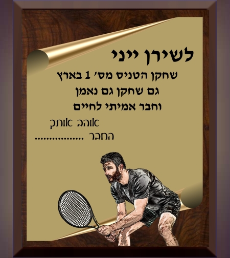 מגן עץ -לטניס שדה