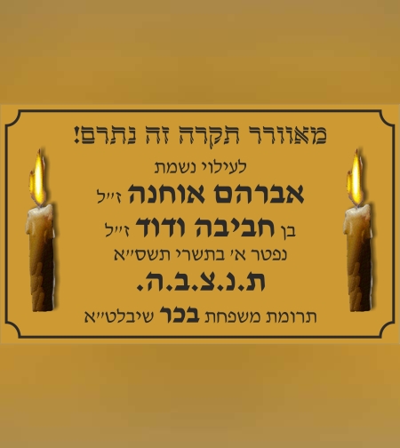 שלט מתכת לפי מידה