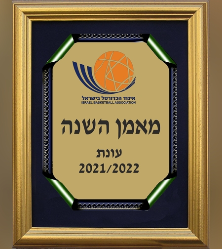 מגן הוקרה בתוך מסגרת