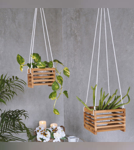 מתלה דקורטיבי לצמחייה דגם נוף