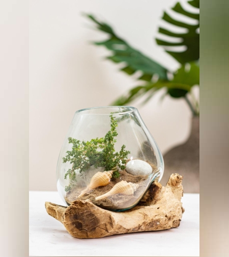 טרריום מעץ טיק