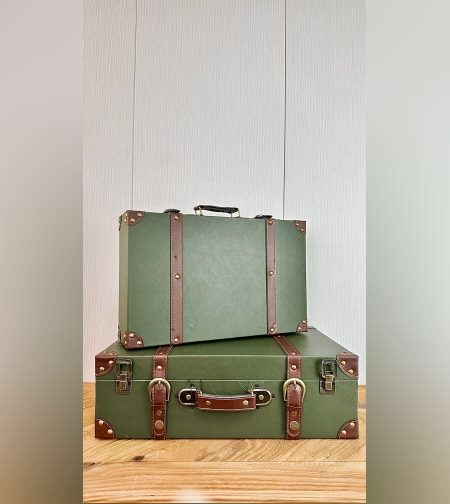 סט 2 מזוודות אחסון וארגון ירוק חום