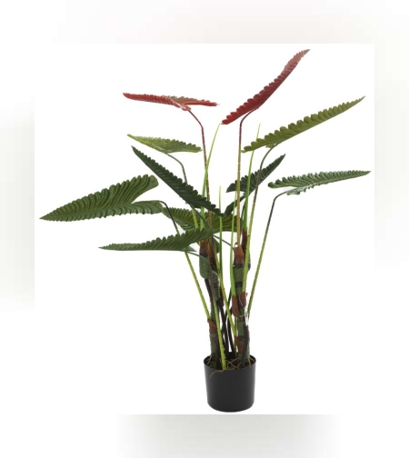 עציץ אלוקסיה 115 ס