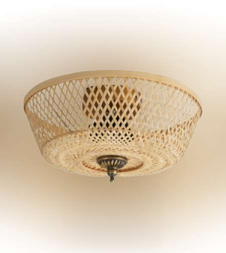 AM2401 צמוד תקרה קש