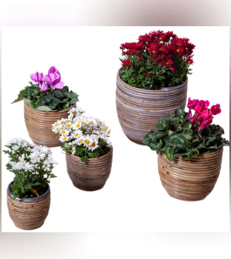 סלי ראטן לעציצים דגם ים