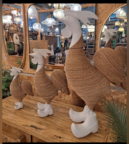 אקססוריז תרנגול