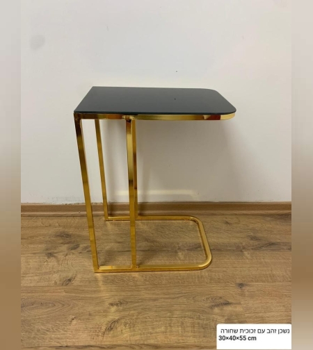 נשכן זהב עם זכוכית שחורה