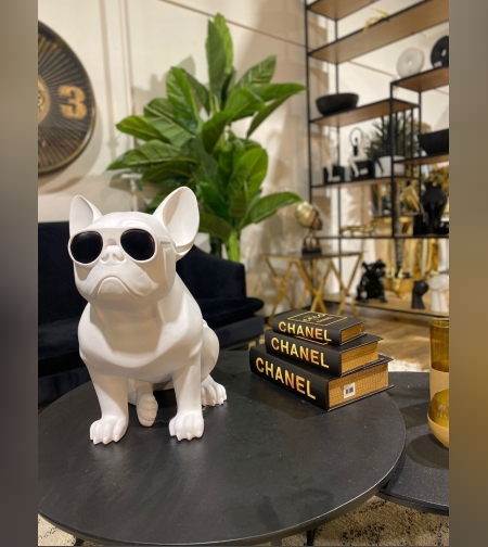 פסל כלב אקססוריז