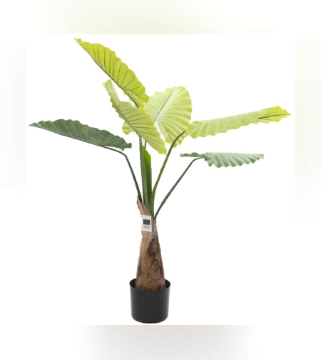 עציץ ביפי 105ס