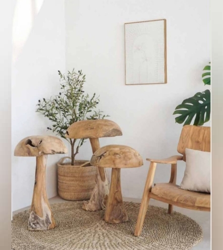 פטריות דקורטיביות מעץ טיק