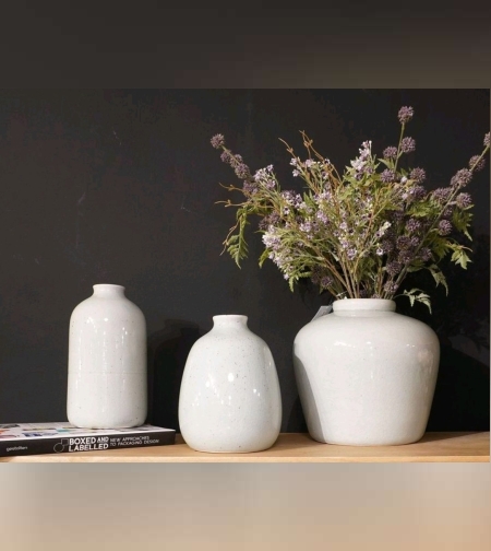 הולנד שלישית- אגרטלים שמן שמנת