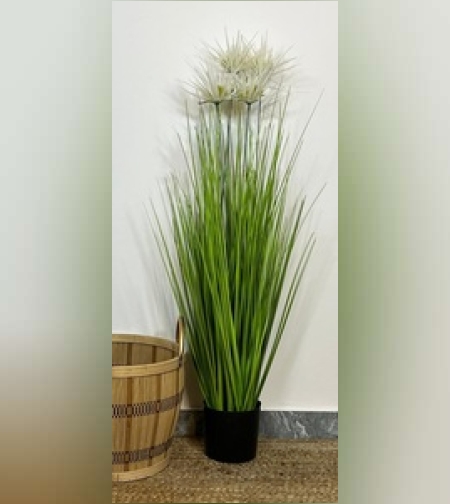 צמח עם פרחים לבנית באדנית שחורה.