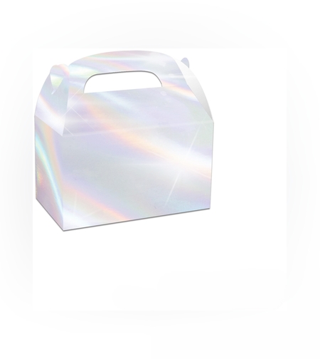 לאנצ' בוקס קרטון 16*9.5 - כסף מטאלי (10 יח')