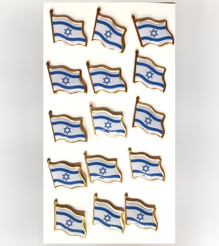 סיכת דש דגל ישראל ממתכת 15 יח' (TY)