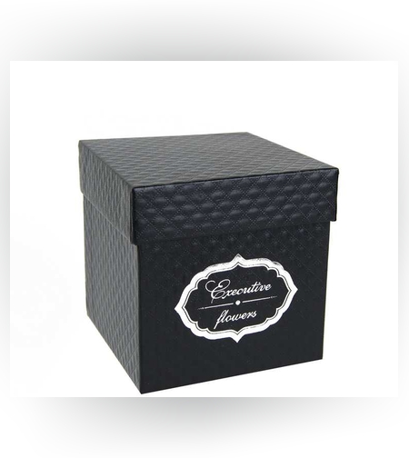 קופסת קרטון 10/10/10 ס