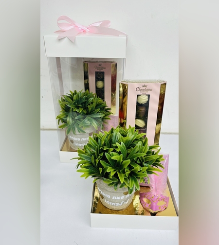 משלוח מנות מארז עציץ