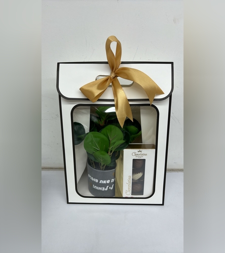 משלוח מנות מארז עציץ