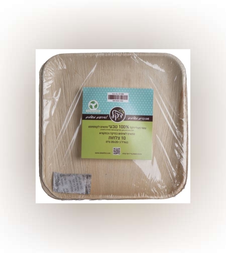 חב' 10 יח' צלחת מרובעת מענפי דקל כ.20 ס'מ