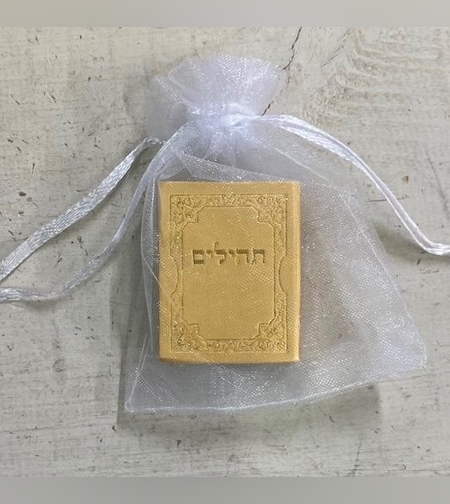 תהילים כיס קטן צבע זהב