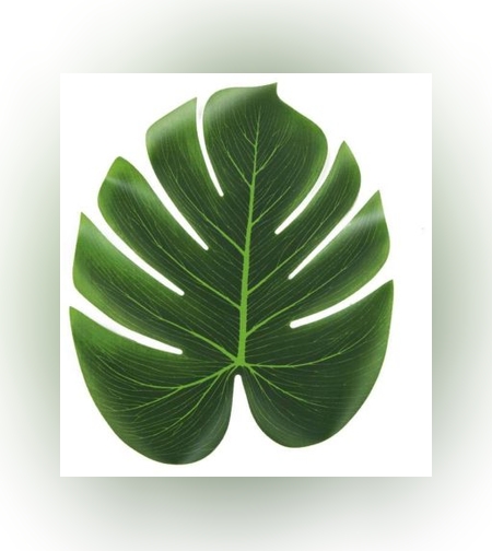 חב' 4 פליסמנט עלה פילדנדרום 29/35 ס'מ