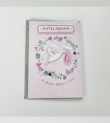 כ'ב SN הולדת בת חסידה
