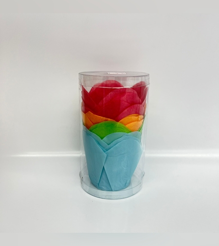 מנג'ט טוליפ- אר' 20