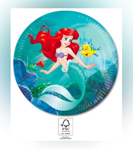 צלחות נייר גדולות 23 ס