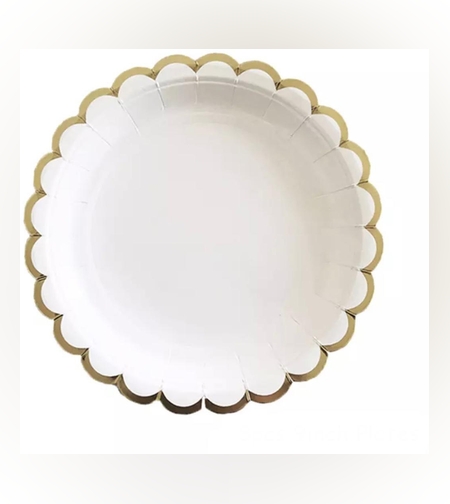 פנסי - צלחת נייר 9