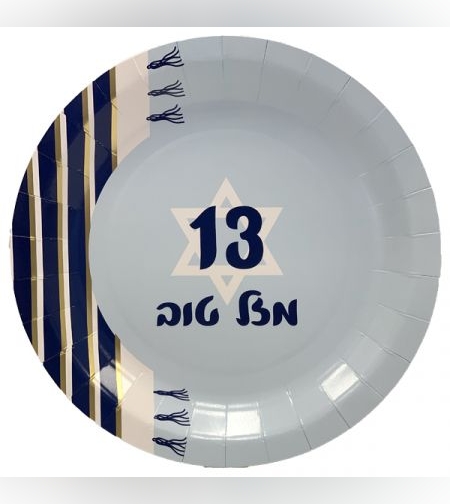 צלחות נייר 23 ס