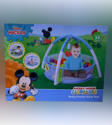 אוניברסטה לתינוק מיקי