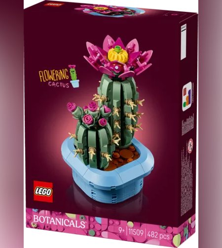 مجموعة ليغو بوتانيكالز 11509، صبار مزهر - Lego
