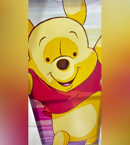 תמונה כנבס לחדר ילדים