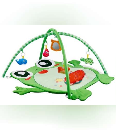 אוניברסיטה לתינוק צפרדע ירוק