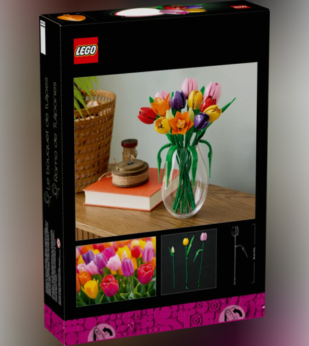 לגו Botanicals – זר צבעונים (11501) LEGO
