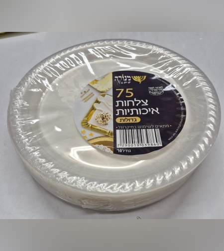 75 צלחות ענקיות גודל 10'- שקוף