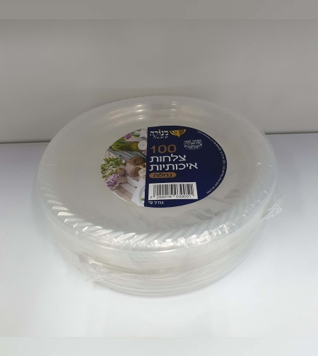 100 צלחות גדולות גודל 9' - שקוף