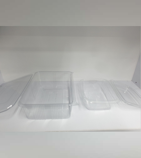 קופסאות פלסטיק עם מכסה מתקפל